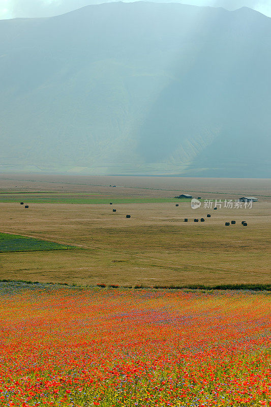 Piano Grande di Castelluccio(意大利)，绿色山丘上的村庄